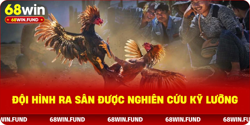 Đội hình ra sân được nghiên cứu kỹ lưỡng