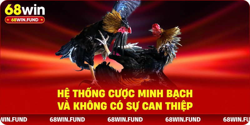 Hệ thống cược minh bạch và không có sự can thiệp